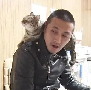 ねこホーダイ-社長