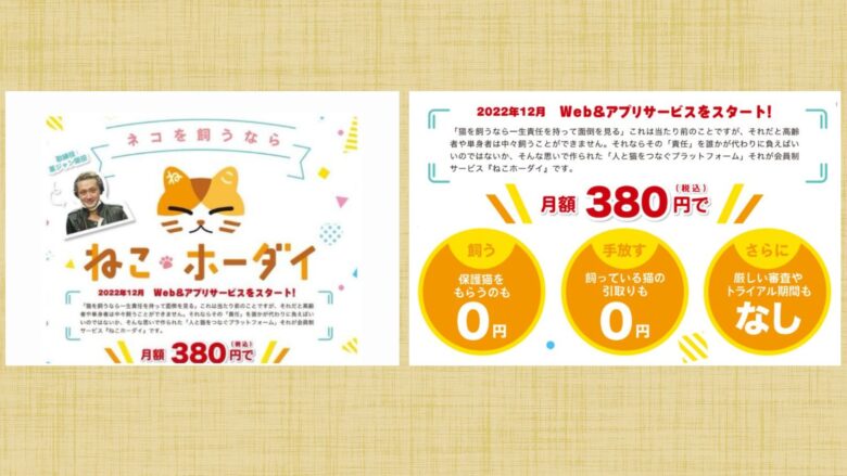 ねこホーダイ-社長
